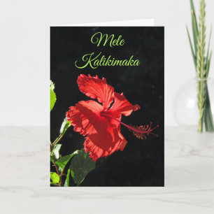 Cartão Mele Kalikimaka