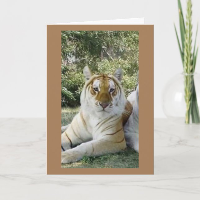 CARTÃO **MELHOR AMIGO** SÉRIOS DESEJOS DE ANIVERSÁRIO (Frente)