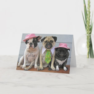 Cartão Melhor Domingo