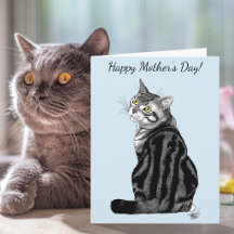 Melhor Mãe de Gato de Sempre no Dia das Mães em Ta