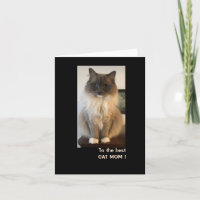 Melhor Mãe de Gato para Dia de as mães