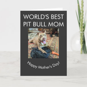 Cartão Melhor mãe do mundo do Pit Bull
