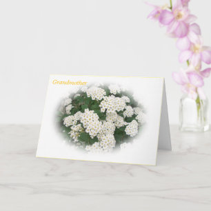 Cartão Melhor Placa De Dia de as mães Da Avó