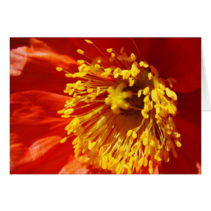 Cartão Melhor vestido