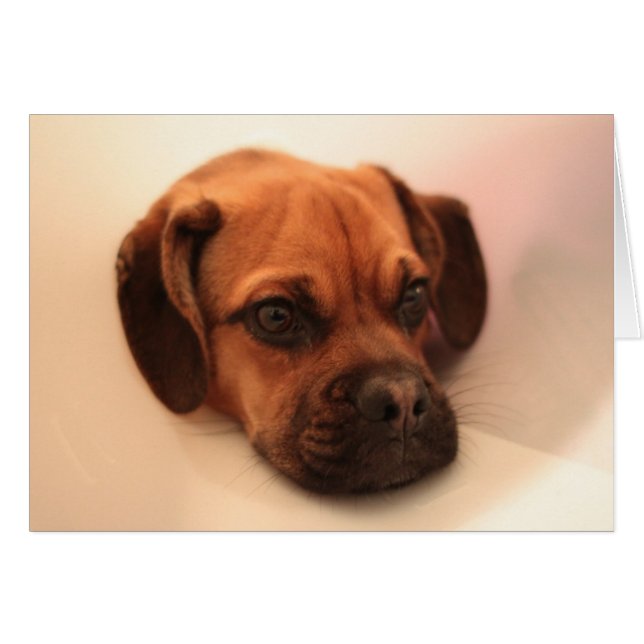 Cartão melhore (Frente Horizontal)