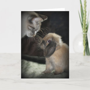 Cartão Melhores Amigos