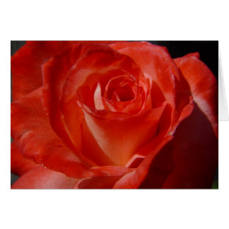 Cartão melhores fotos 016