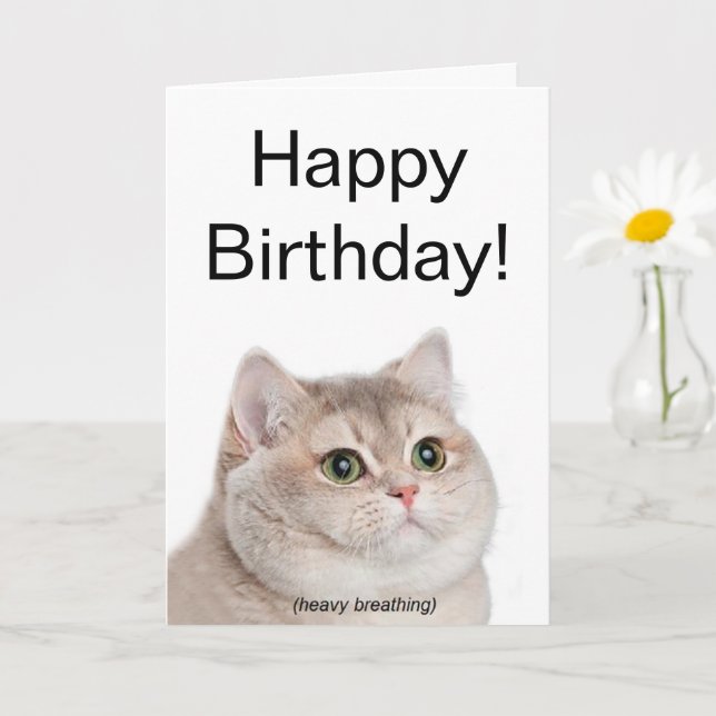 Cartão Meme de Gato de Quebra Pesada de Placa Dobrada (Planta pequena)