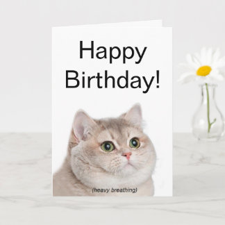 Cartão Meme de Gato de Quebra Pesada de Placa Dobrada