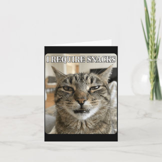 Cartão Meme de Gato Engraçado Requer Design de Lanches Ho