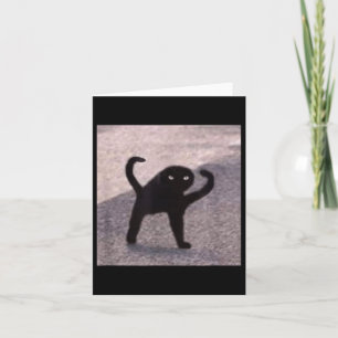 Cartão Memes de Gato Amaldiçoados Gato Amaldiçoado Bravo