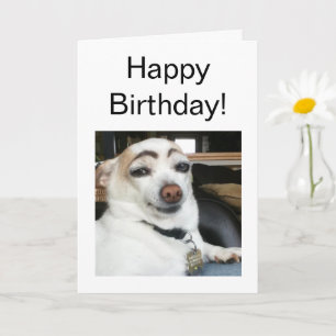 Cartão Memória De Cachorro De Cãezinha Dobrada