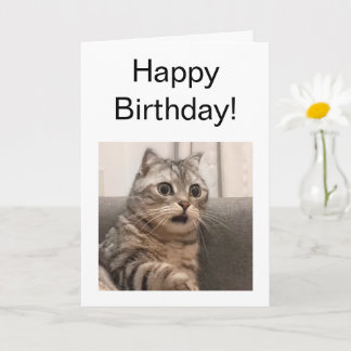 Cartão Memória de Gato Chocada da Placa Dobrada