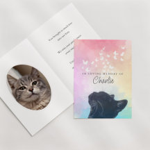 Memorial de Gato Arco-Íris Borboletas Brancas Perd