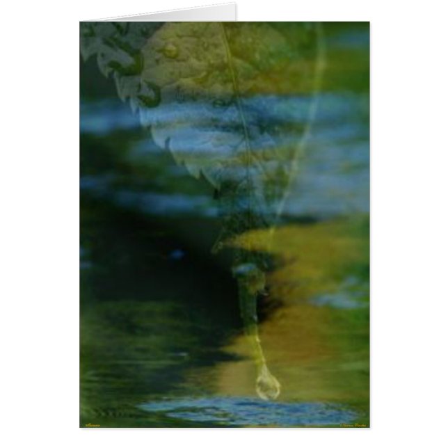 Cartão Memórias (Frente)