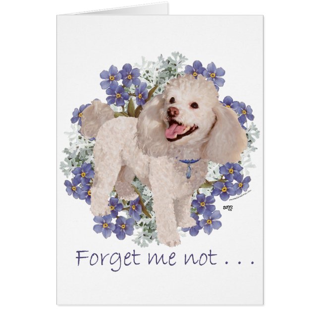 Cartão Memórias de Poodle (Frente)