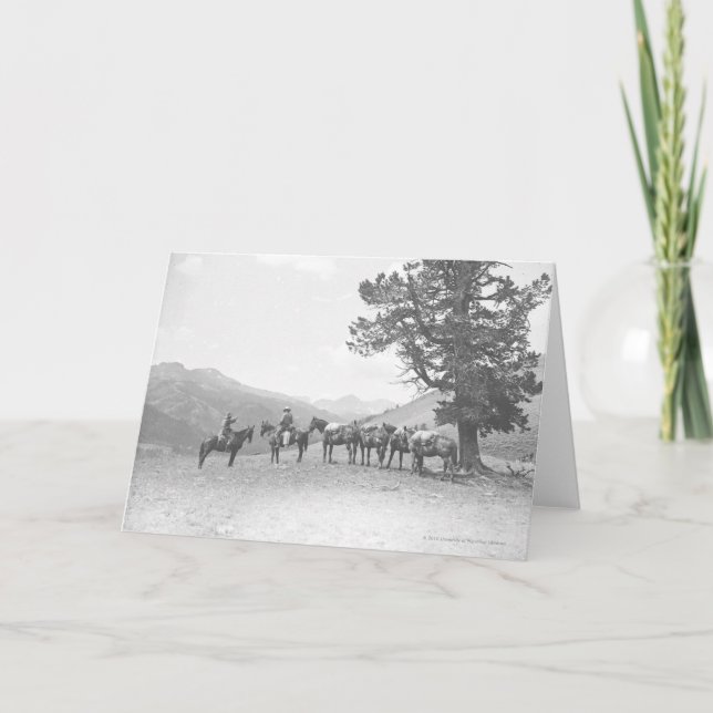 Cartão Men with packhorses looking over a hill (Frente)