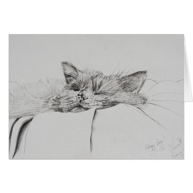 Cartão Menino sonolento de Monty (Frente Horizontal)