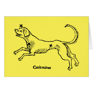 Cartão Menor de Canis, 1482