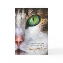 Mensagem do Cat Pet Sympathby Tabby Face Tender