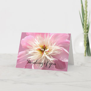 Cartão Mensagem Personalizada de Peony Rosa Amigável