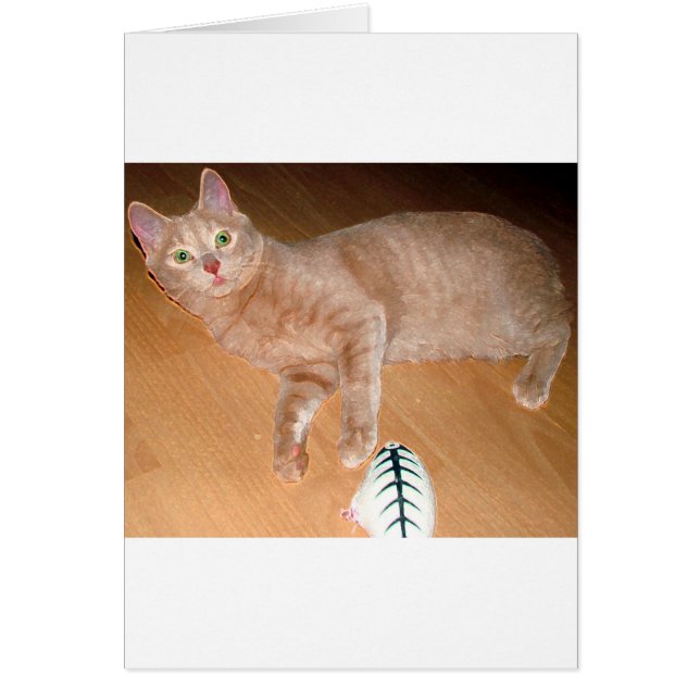 CARTÃO MEOW (Frente)