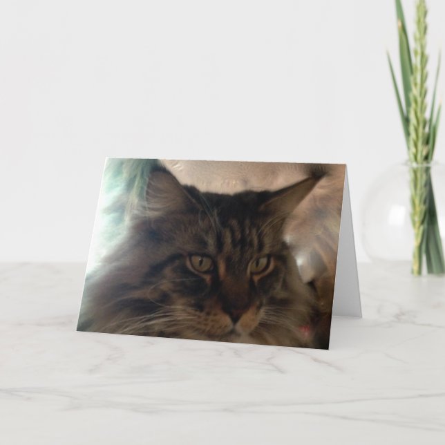 Cartão Meow Maine Coon Note Card (Frente)