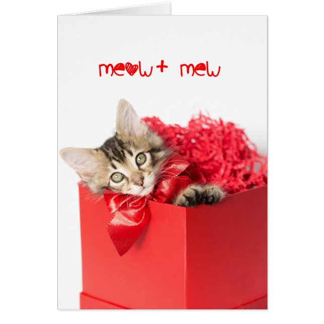 Cartão Meow + Mew Kitten (Frente)