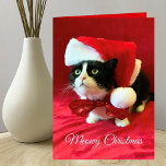 Cartão Meowy Christmas Cat Christmas Greeting Card<br><div class="desc">This fun Cat Christmas Card features Peaches the Tuxedo Cat on the front with the words "Meowy Christmas" below the cat. Peaches is wearing a Christmas hat and a red ribbon bow. The inside of the card reads, "May your holidays be purrfect in every way!" A lovely Christmas card for...</div>