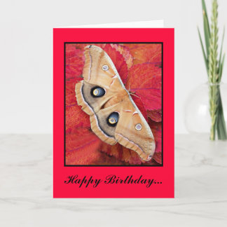 Cartão MePrintPolyPhemusa, Happy Birthday... - Customized