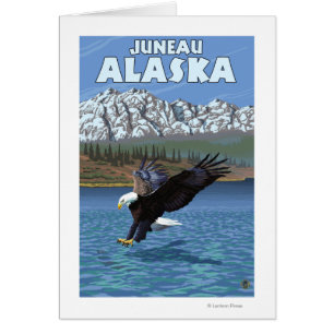 Cartão Mergulho Bald Eagle - Juneau, Alaska