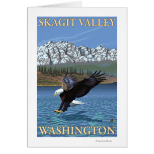 Cartão Mergulho da águia americana - vale de Skagit,