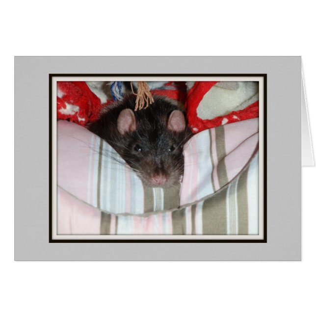 Cartão Merlin Lpreguiçoso (Frente horizontal)