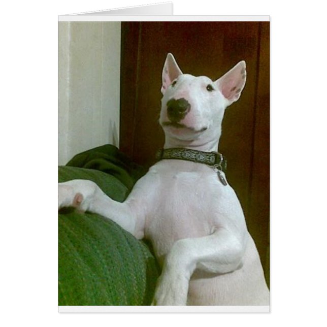 Cartão merra (Frente)