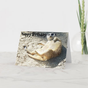 Cartão Merrkat Happy Birthday