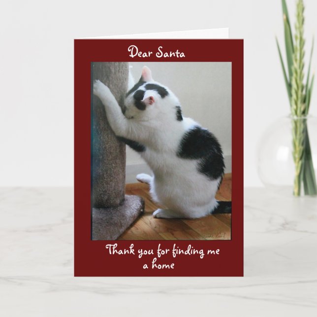 Cartão Merry Christmas from Your Adopted Cat (Frente)