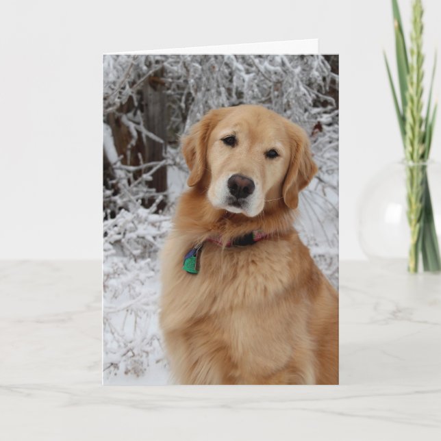 Cartão Merry Christmas Golden (Frente)