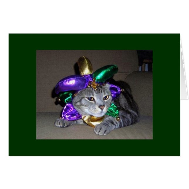 CARTÃO MESMO O GATO ESTÁ CELEBRAR POR "VOCÊ" SER "5O" (Frente Horizontal)