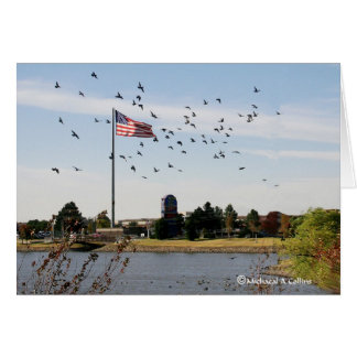 Cartão Mesmo os patos amam os EUA
