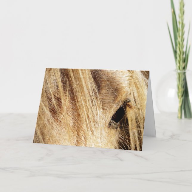 Cartão Messy Mane Birthday (Frente)