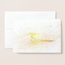 Adorável Sandplover Menor