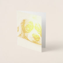 Cachorro Panelado De Olhos Tristes