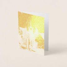 Cães Celebrando Ano Novo