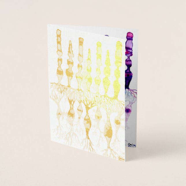 Cartão Metalizado Células de cone e neurônios bipolares da retina (Frente)