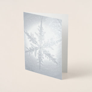 Cartão Metalizado Placa Silver Foil Fern Snowflake