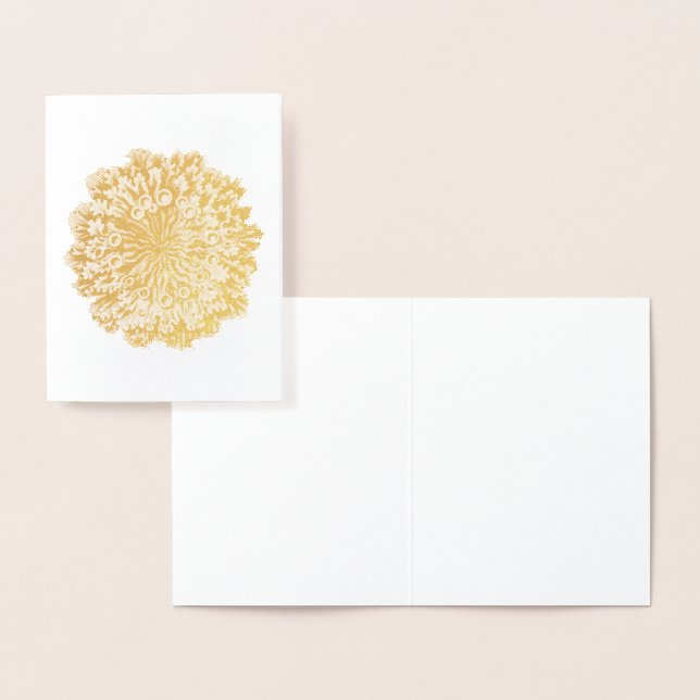 Cartão Metalizado Vintage Haeckel (Exibição)