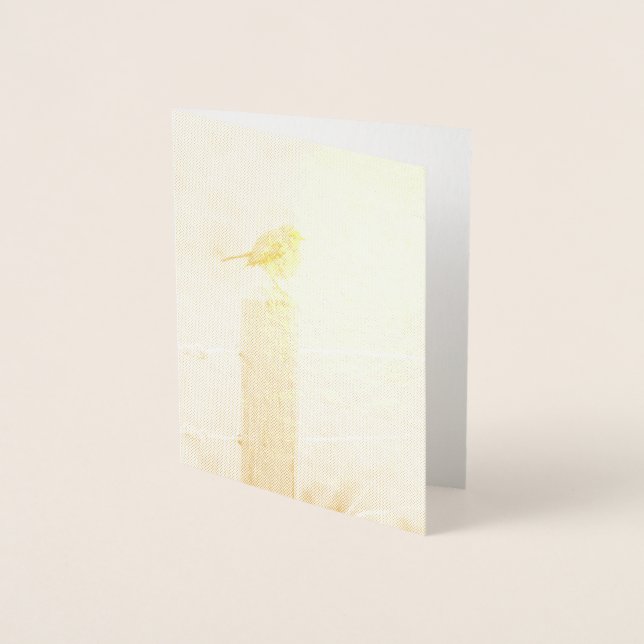 Cartão Metalizado Winter Robin Redbreast (Frente)