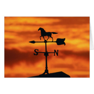 Cartão Meteorologia Vane no Sunset