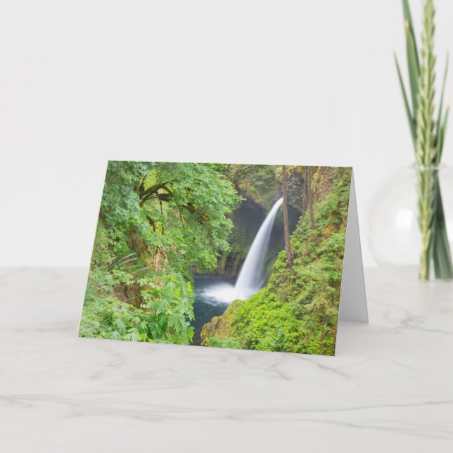 Cartão Metlako Falls (Frente)