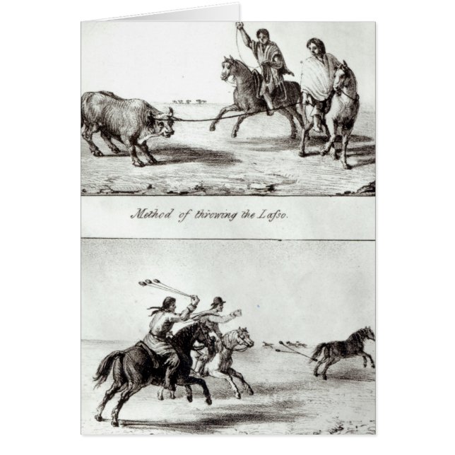 Cartão Métodos para Jogar o Laço e o Bolas (Frente)